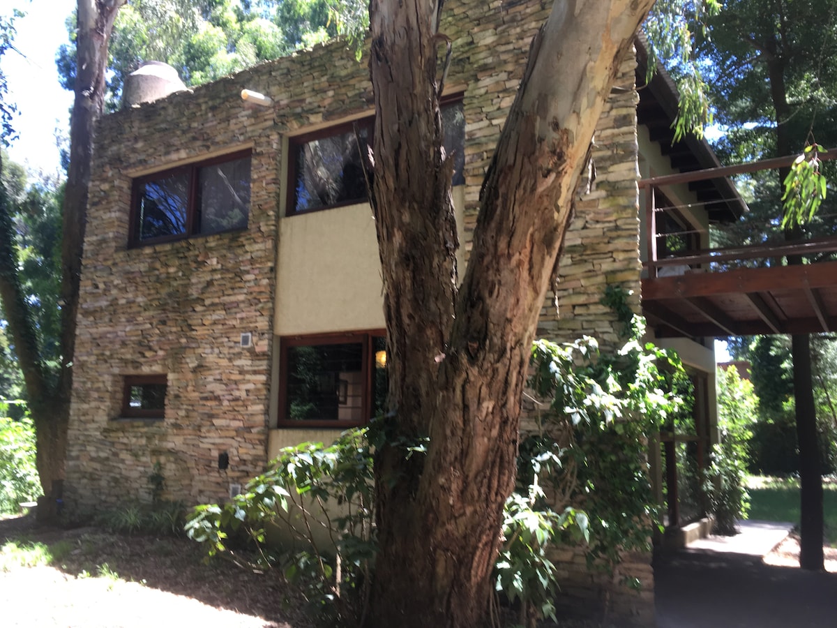 A unique two-story house constructed from natural stone blends harmoniously with its forest surroundings. Large windows encase the building, allowing natural light to brighten the interior. Lush greenery is present, enhancing the tranquil ambiance of the setting.