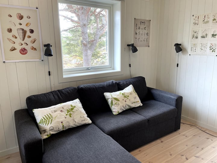 TV-rom med dobbeltseng i sovesofa. 