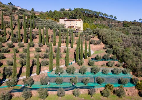 The Frantoio, luxury villa near Lucca/Florence