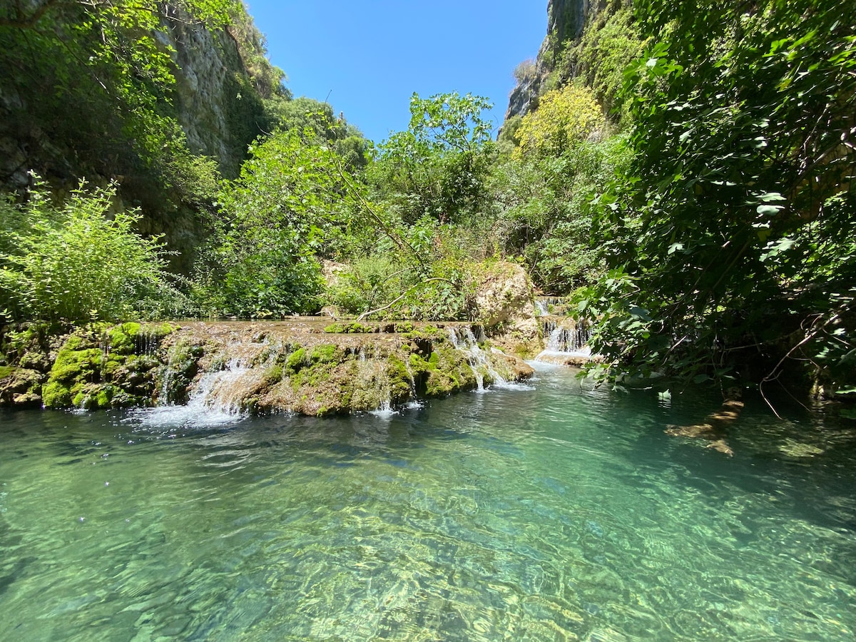 A serene natural landscape showcases clear, turquoise waters flowing over moss-covered rocks. Lush greenery surrounds the area, with various plants and trees reflecting vibrant shades of green. Soft waterfalls can be seen cascading gently, creating a tranquil atmosphere.
