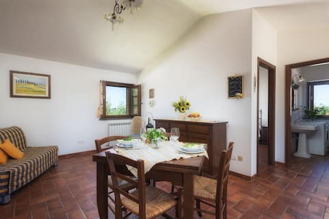 Popular Airbnb listing: Il Cipresso, one-bedroom apartment near Trasimeno! in Castiglione Del Lago