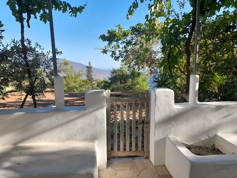 House in the heart of the Alpujarra with pool