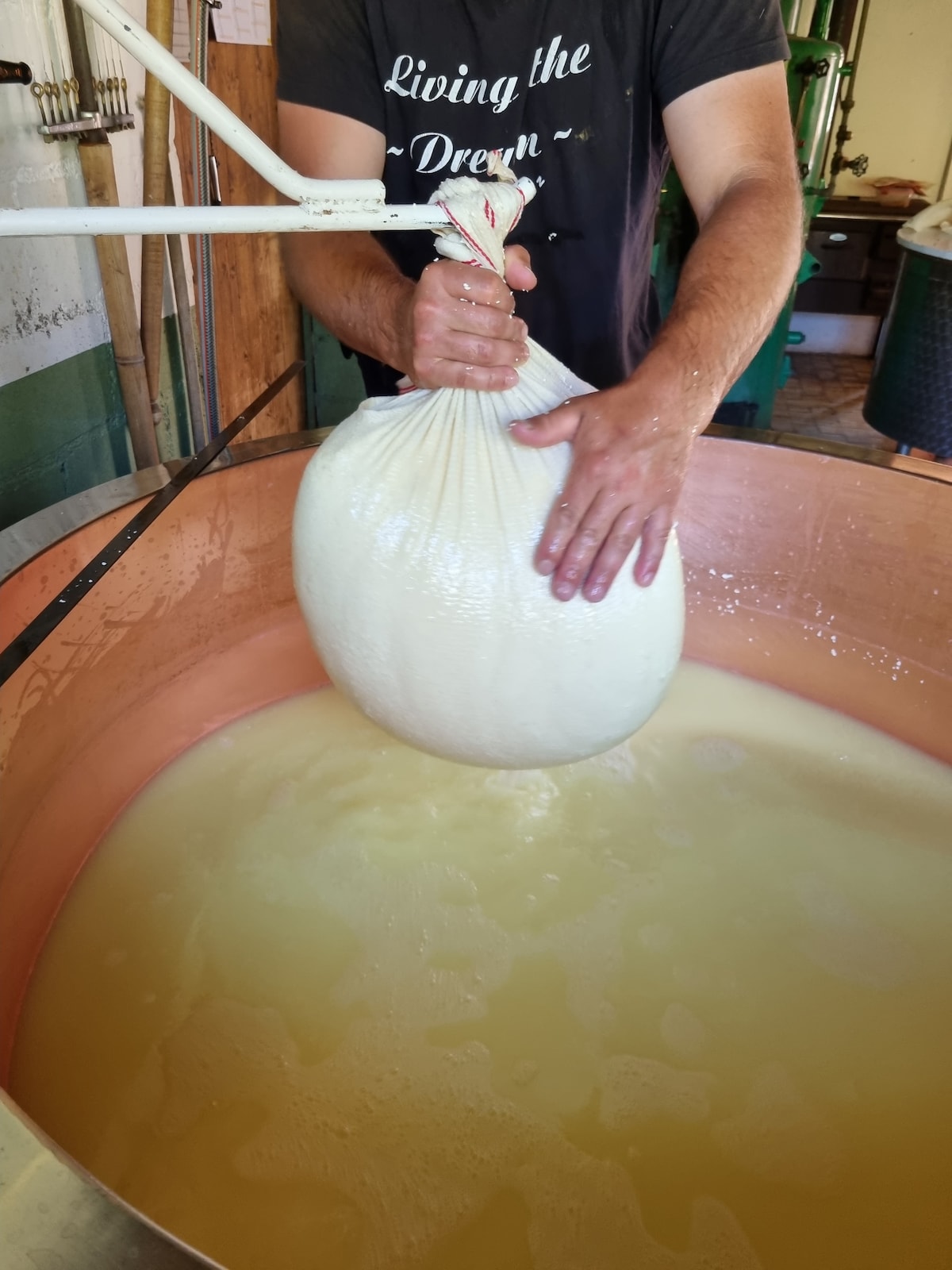A large bag filled with fresh curds is being lifted from a copper vat. The vat contains a cloudy liquid, and the hands holding the bag show a firm grip. The setting suggests an authentic cheese-making process, with wooden and metal equipment visible in the background.