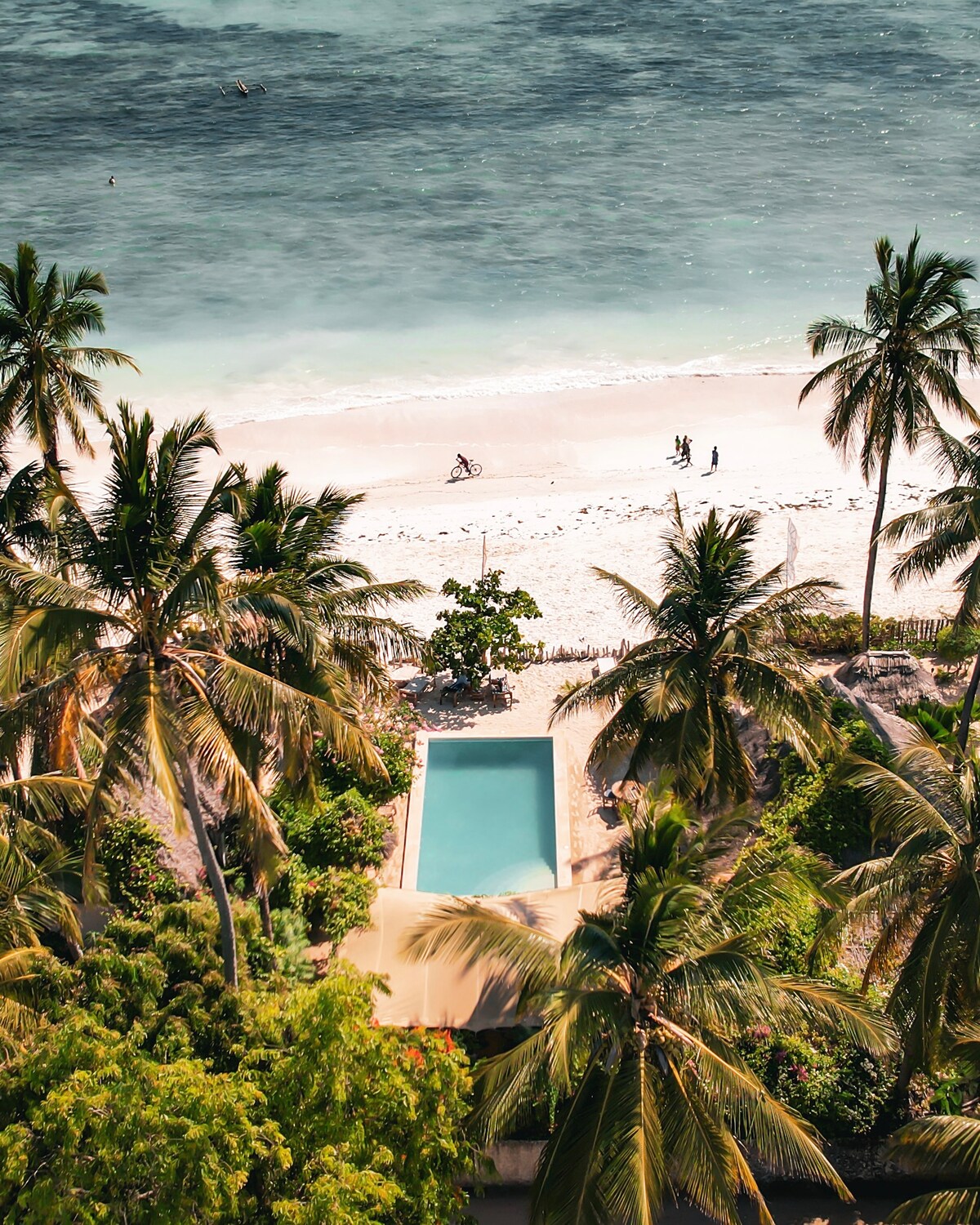 A tranquil landscape features a swimming pool nestled among lush palm trees, with a sandy beach and ocean in the background. People can be seen walking along the shoreline, while the serene water reflects the natural surroundings.