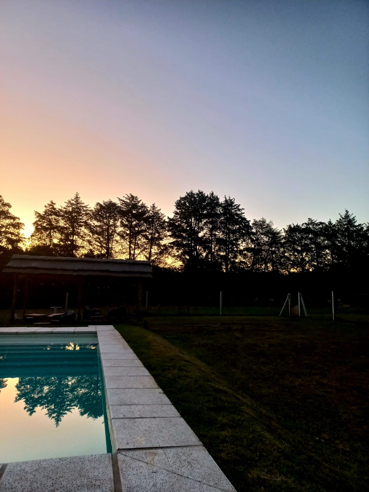 A serene outdoor pool reflects the soft hues of a sunset. Lush trees outline the background, contributing to the natural ambiance. A spacious lawn is visible beyond the pool area, providing ample space for outdoor activities and relaxation.