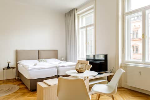 Apartment Brno 1+kk (No.9) in the city center