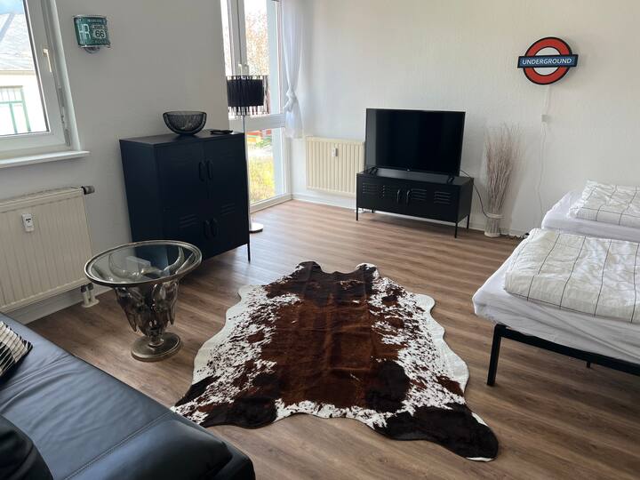Top apartment in Zwickau Free Wi-Fi & Netflix