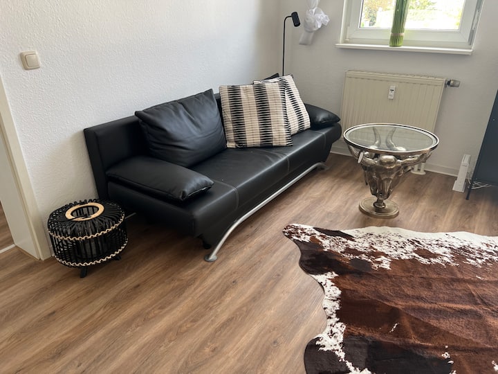 Top apartment in Zwickau Free Wi-Fi & Netflix