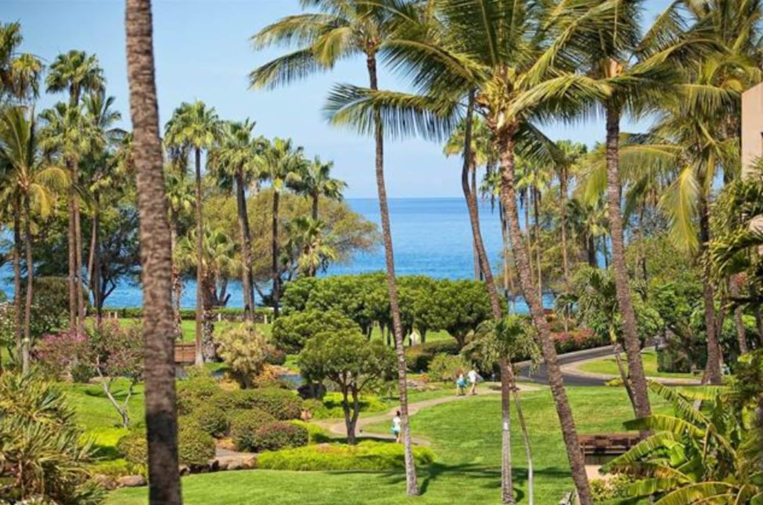 Condo in Kihei · ★4.84 · 1 bedroom · 3 beds · 2 baths - Image 29