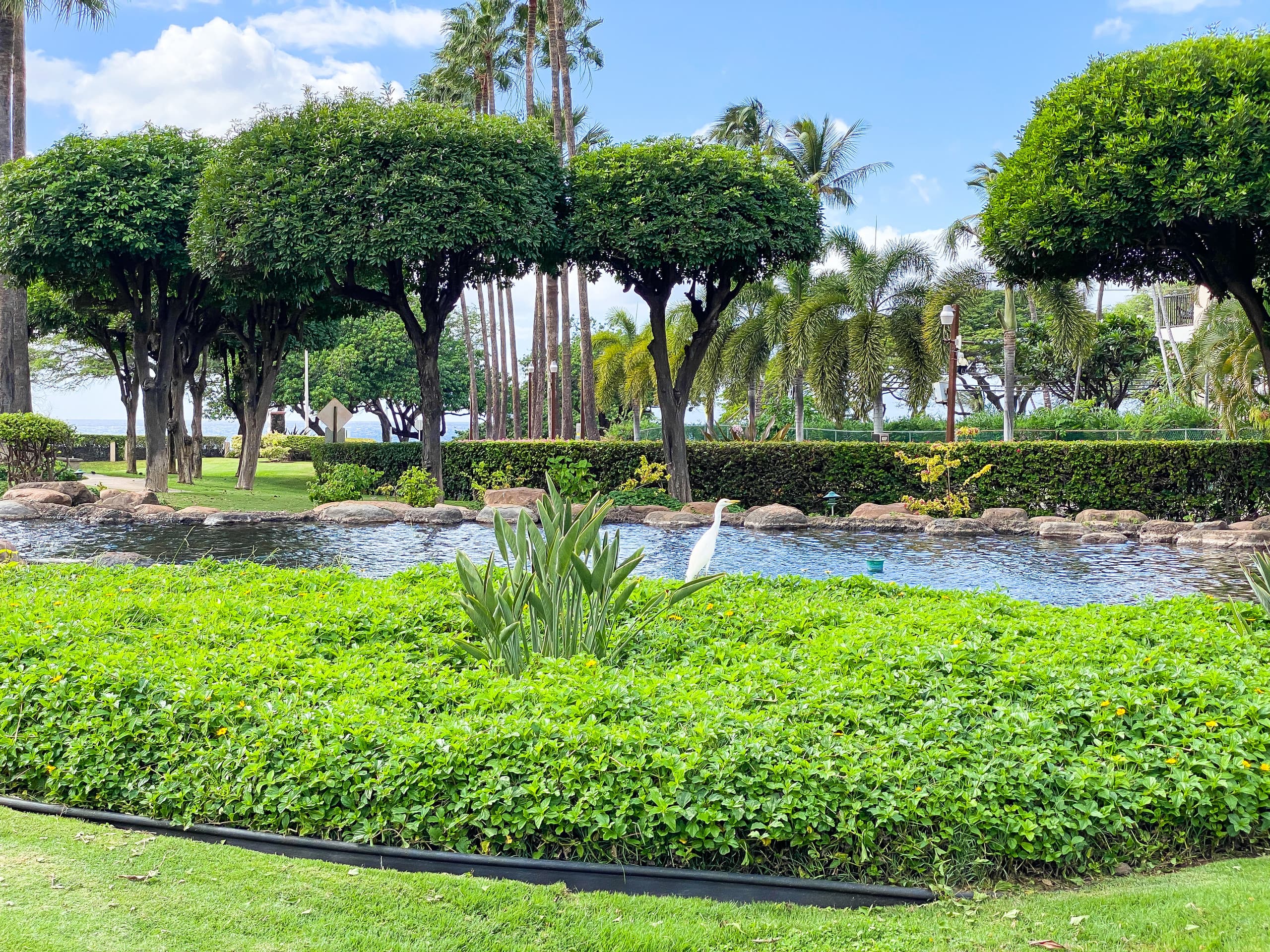 Condo in Kihei · ★4.84 · 1 bedroom · 3 beds · 2 baths - Image 42