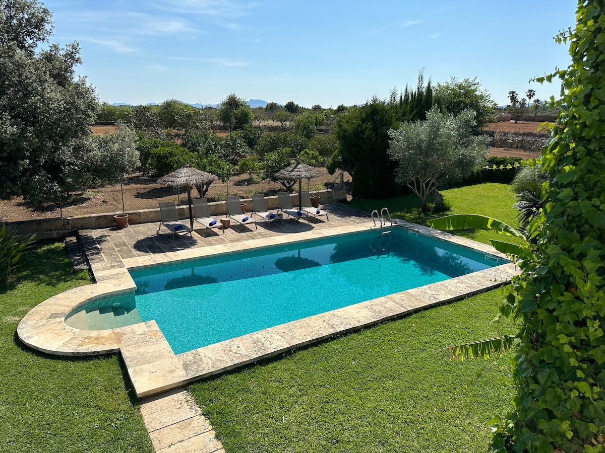A rectangular swimming pool is surrounded by a stone patio and lush green grass. Sun loungers with umbrellas are positioned around the pool, providing shaded seating. The backdrop features olive trees and landscaped gardens, creating a serene outdoor environment.