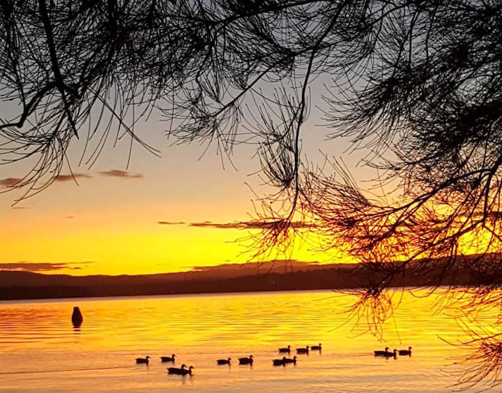 Summerland Point, Lake Macquarie Houses for Rent in Summerland Point