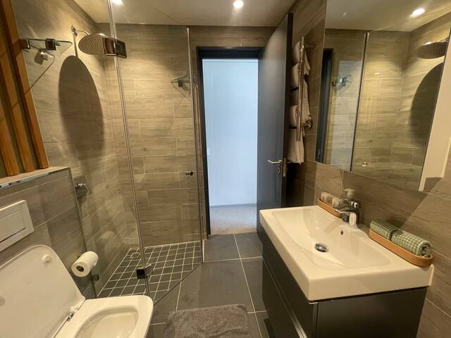 City Center Penthouse with private rooftop terrace gallery image 5