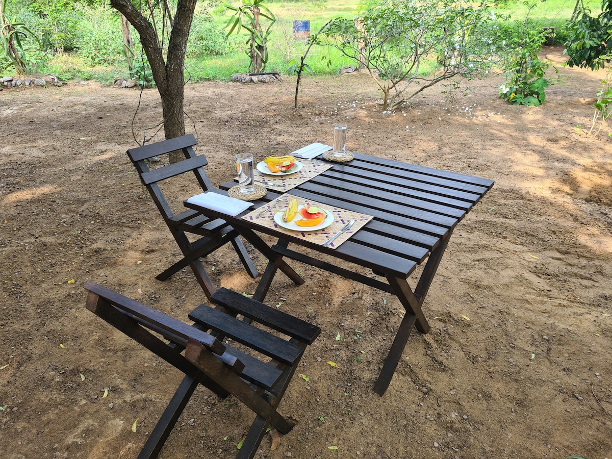A wooden dining table is set outdoors, featuring two plates of fresh fruit arranged attractively on woven placemats. Two folding chairs accompany the table, surrounded by natural land with greenery in the background, creating a peaceful outdoor dining environment.