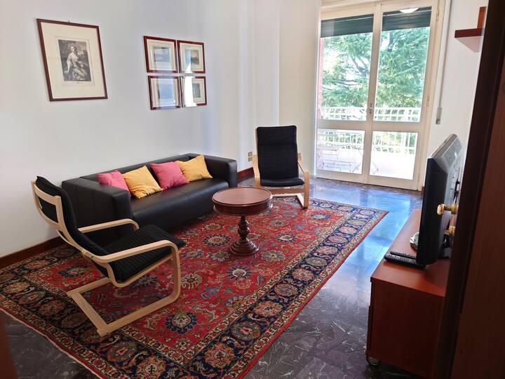 Stunning Large Balcony Apartments For Rent image