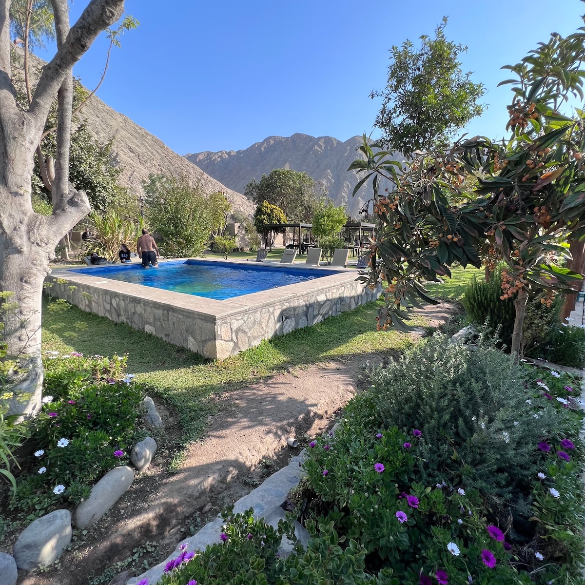 A serene outdoor space features a bright blue pool surrounded by lush greenery and vibrant flowers. Chaise lounges are positioned around the pool, inviting relaxation. Rolling hills are visible in the background, providing a peaceful backdrop to the garden.