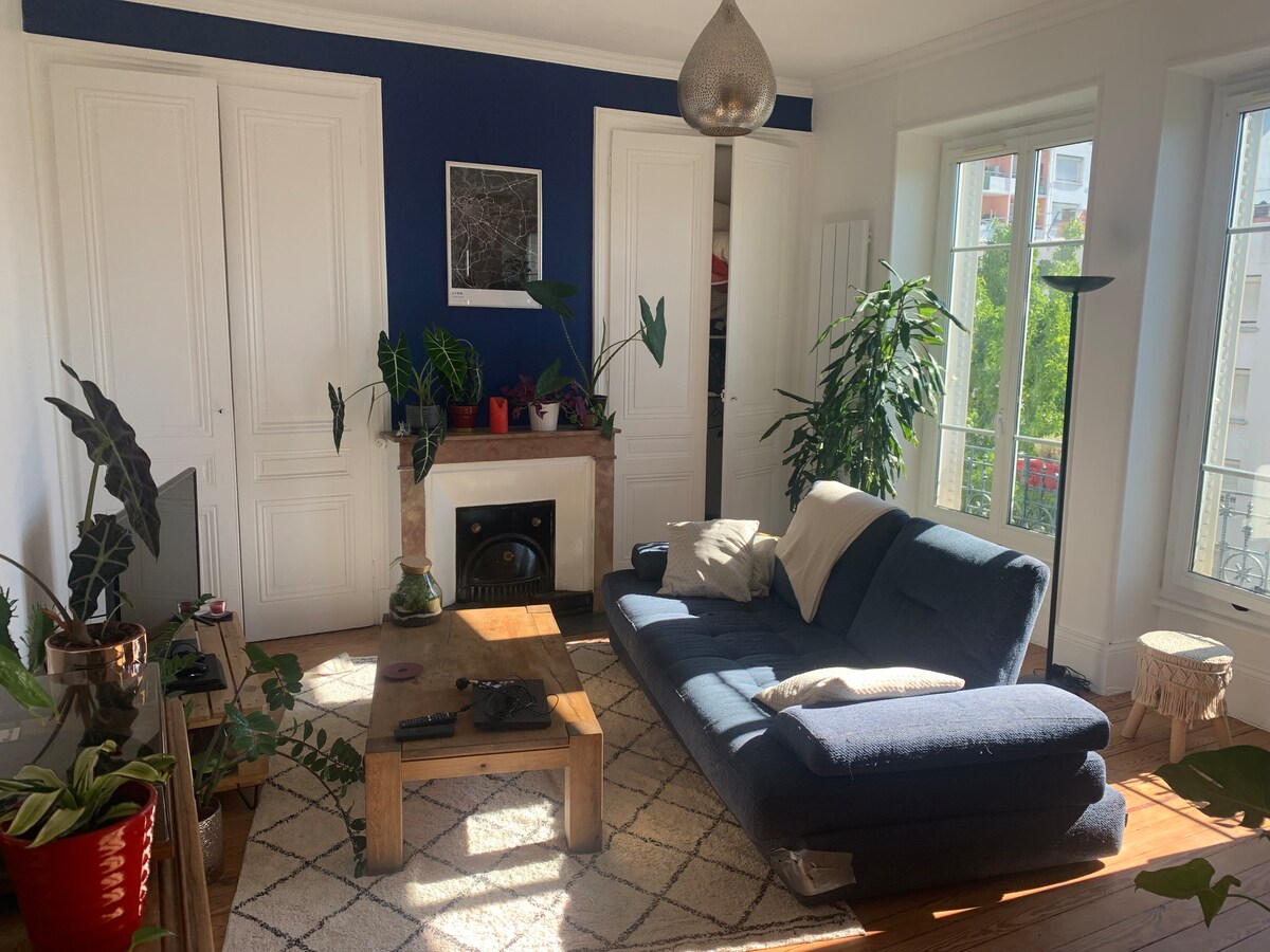 Erfolgreiche Airbnb-Immobilie: Beautiful apartment with all comforts WITH CATS in Villeurbanne