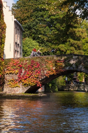 A stone bridge adorned with climbing vines spans a tranquil canal. The lush greenery and colorful foliage provide a natural framing against the peaceful water, reflecting the vibrant colors of the surrounding landscape.