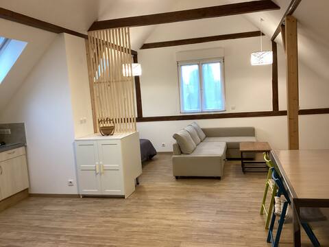 Successful Airbnb property: Independent studio in Bas Rhin