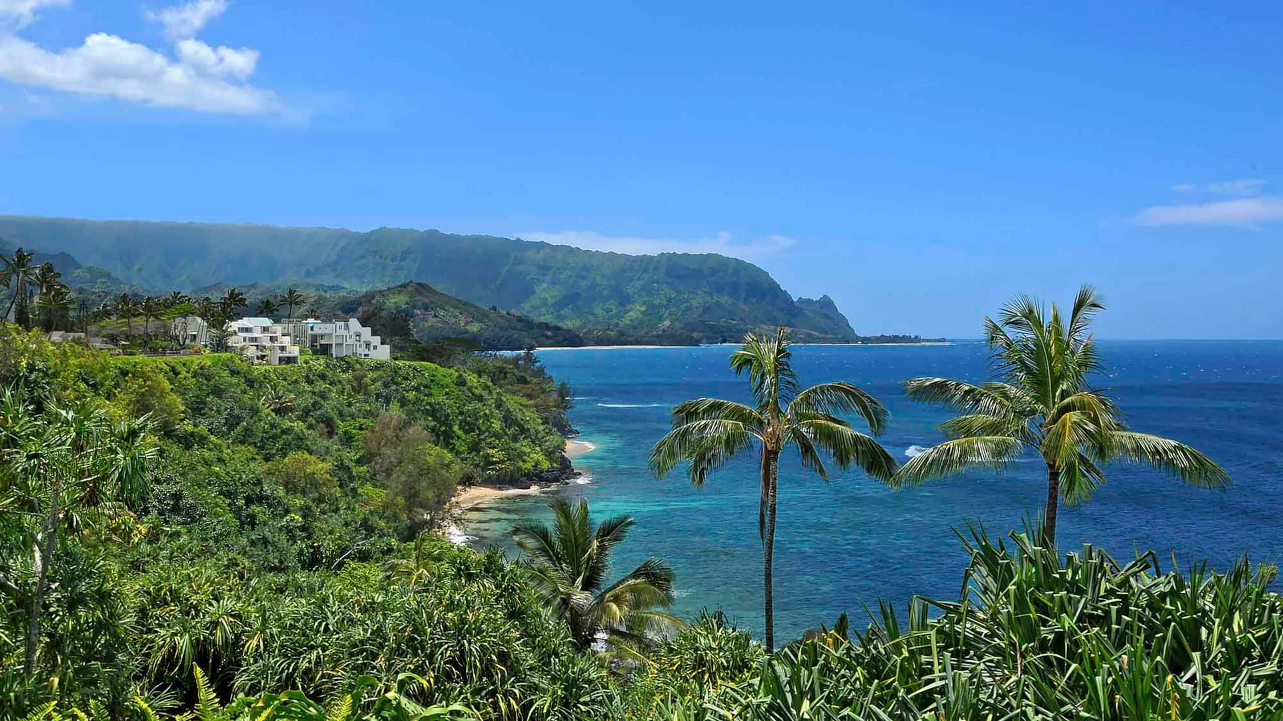 Villa in Princeville · ★5.0 · 2 bedrooms · 2 beds · 2 baths - Image 16