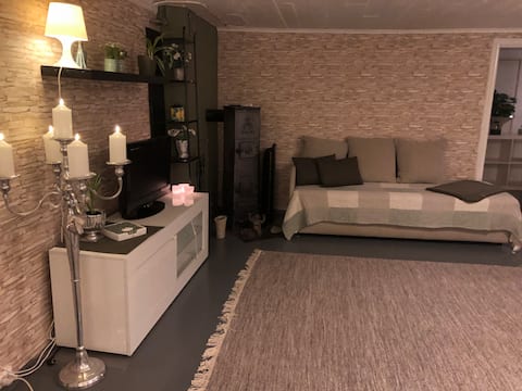 Popular Airbnb listing: Cozy basement apartment with free parking. in Notodden