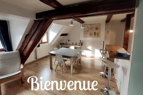 Nice and cosy apartment in the old town