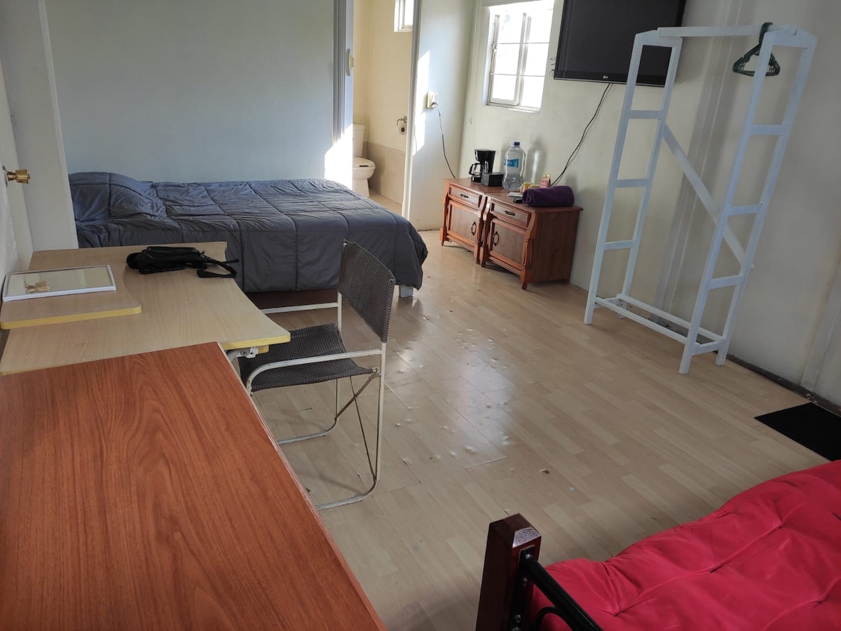 A private room features a neutral-toned floor and walls, with two beds—a spacious bed with grey bedding and a sofa bed. A wooden desk with a chair is positioned beside a wooden cabinet. Natural light streams through the window, illuminating the space.
