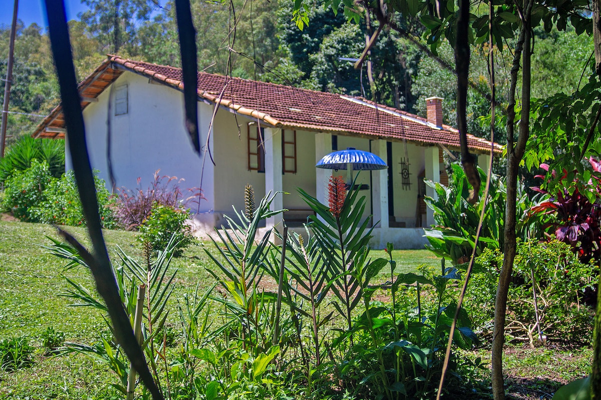 A charming home is nestled within lush greenery, featuring a sloped roof and a welcoming entrance. Colorful plants and foliage surround the property, creating a serene and natural environment.