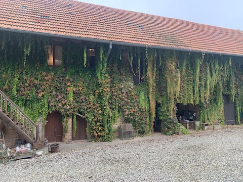 Charming 3 rooms, Alsatian house with character