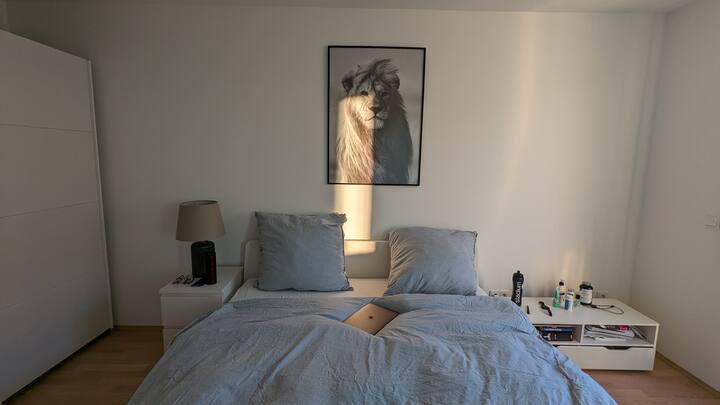 Fully-furnished 2-room Flat For Temporary Rental - Germering