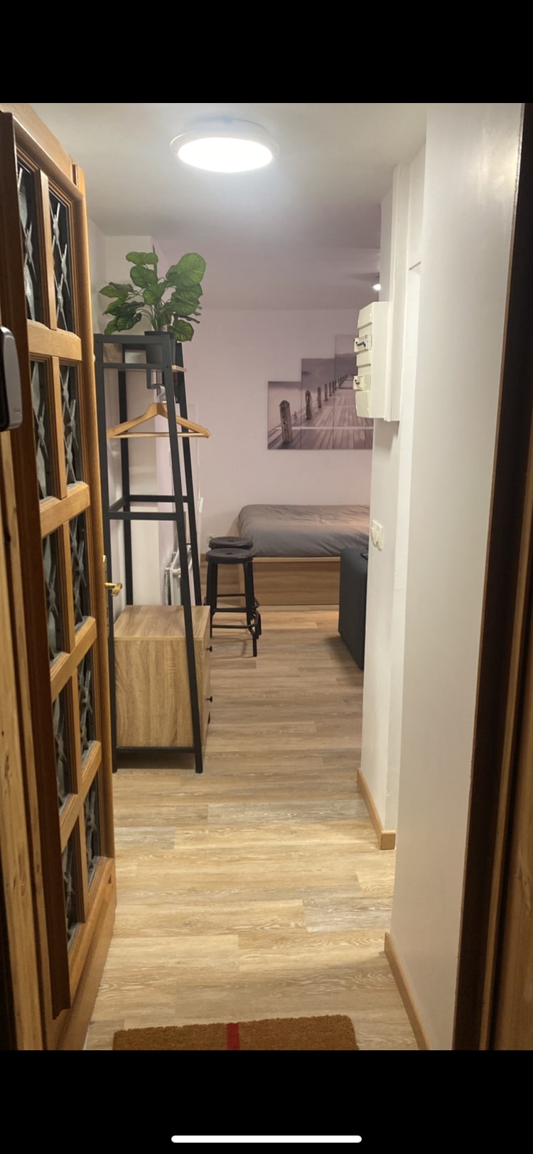 A hallway is depicted, leading to a cozy sleeping area. A wooden shelf with a plant is positioned on the left. The space features warm wood tones and light flooring, with a bed visible in the background, alongside a small stool and chest of drawers.