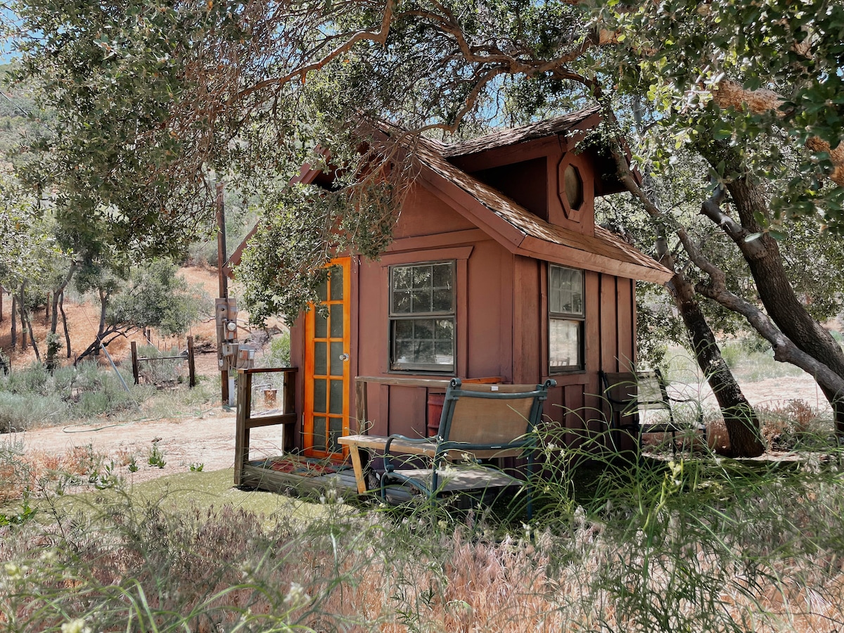 A charming cabin is nestled under the shade of trees, featuring a vibrant orange door and multi-pane windows. Outdoor seating is positioned on a small porch, surrounded by tall grasses and natural vegetation, offering a serene spot to enjoy the tranquil surroundings.