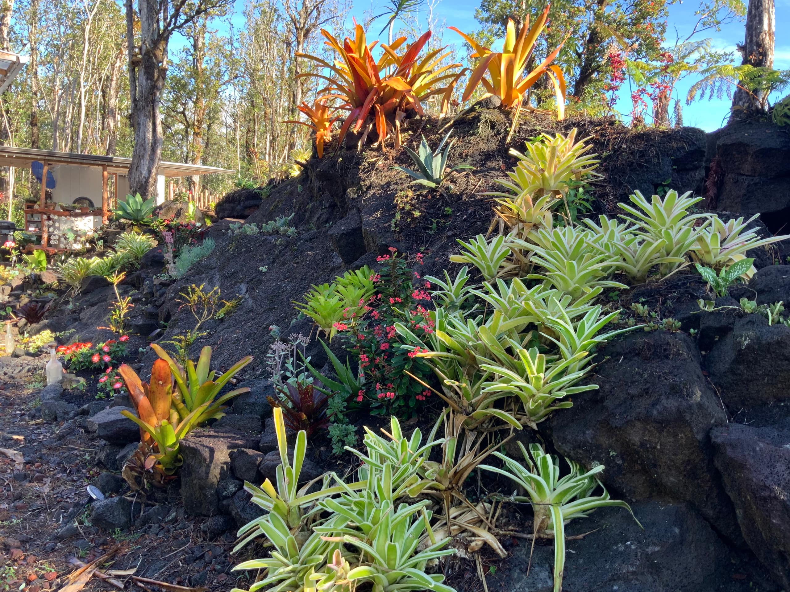 Exotic Garden cottage at amazing volcano fissure - Photo 32