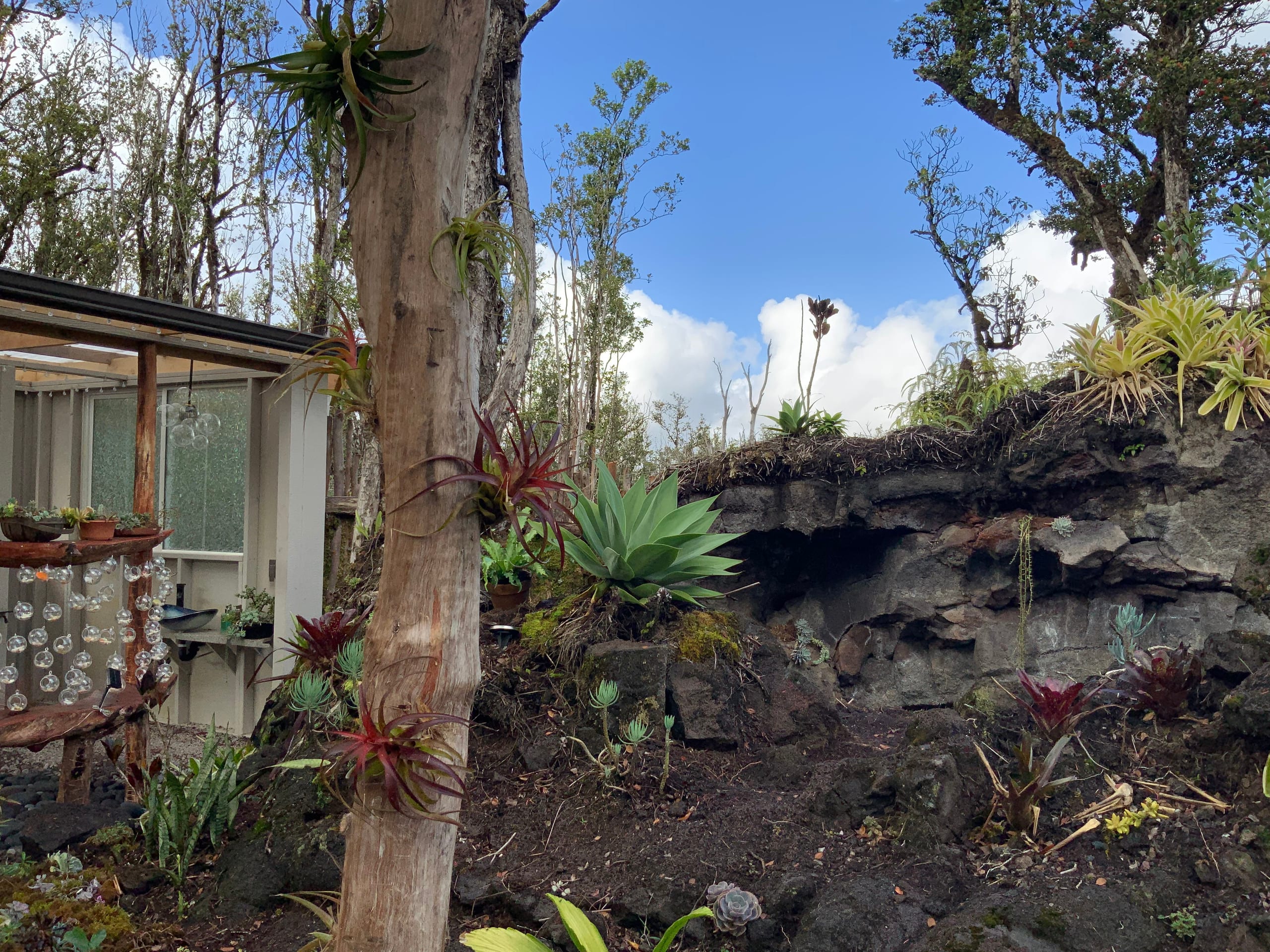 Exotic Garden cottage at amazing volcano fissure - Photo 15