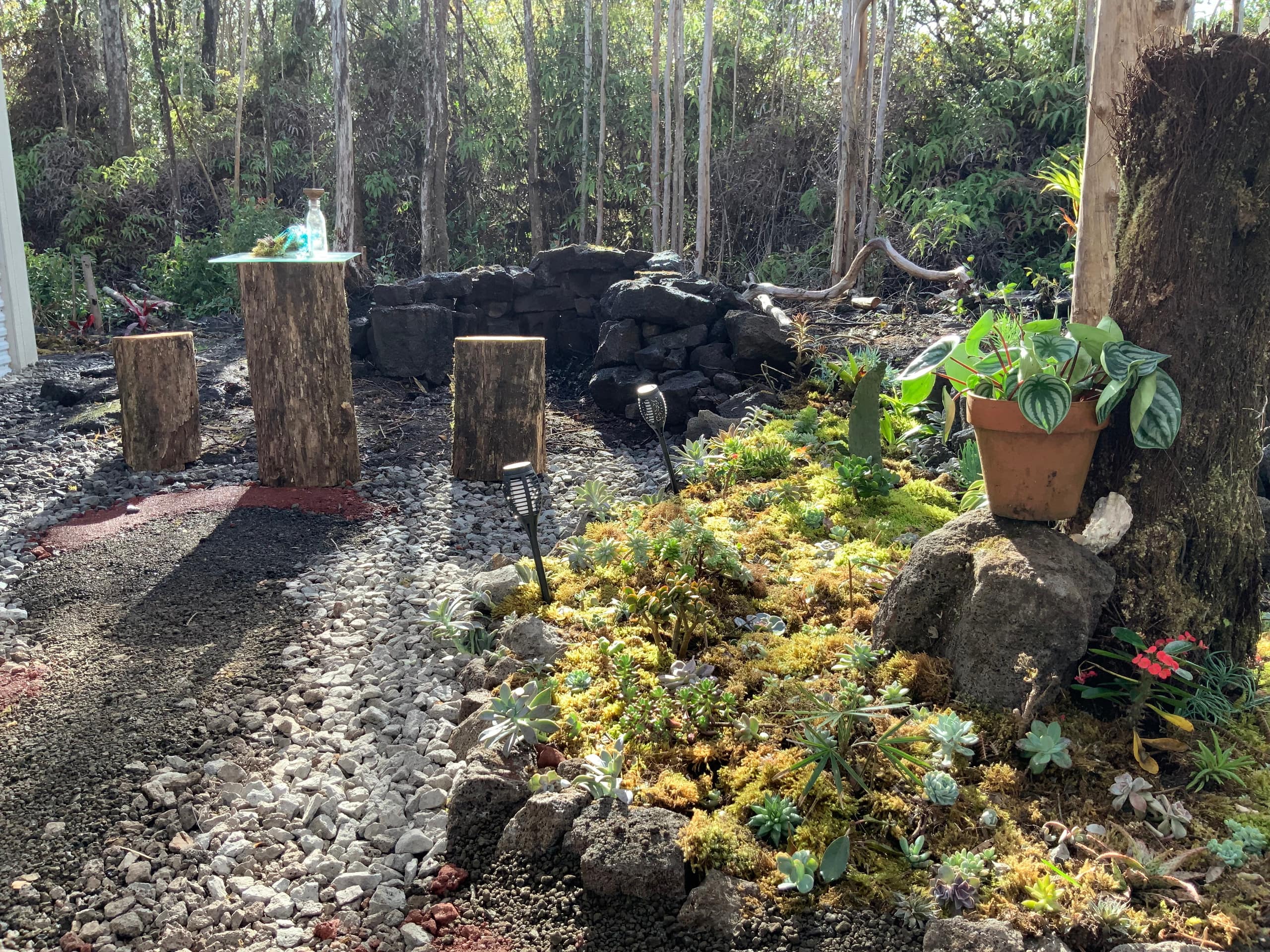Exotic Garden cottage at amazing volcano fissure - Photo 44