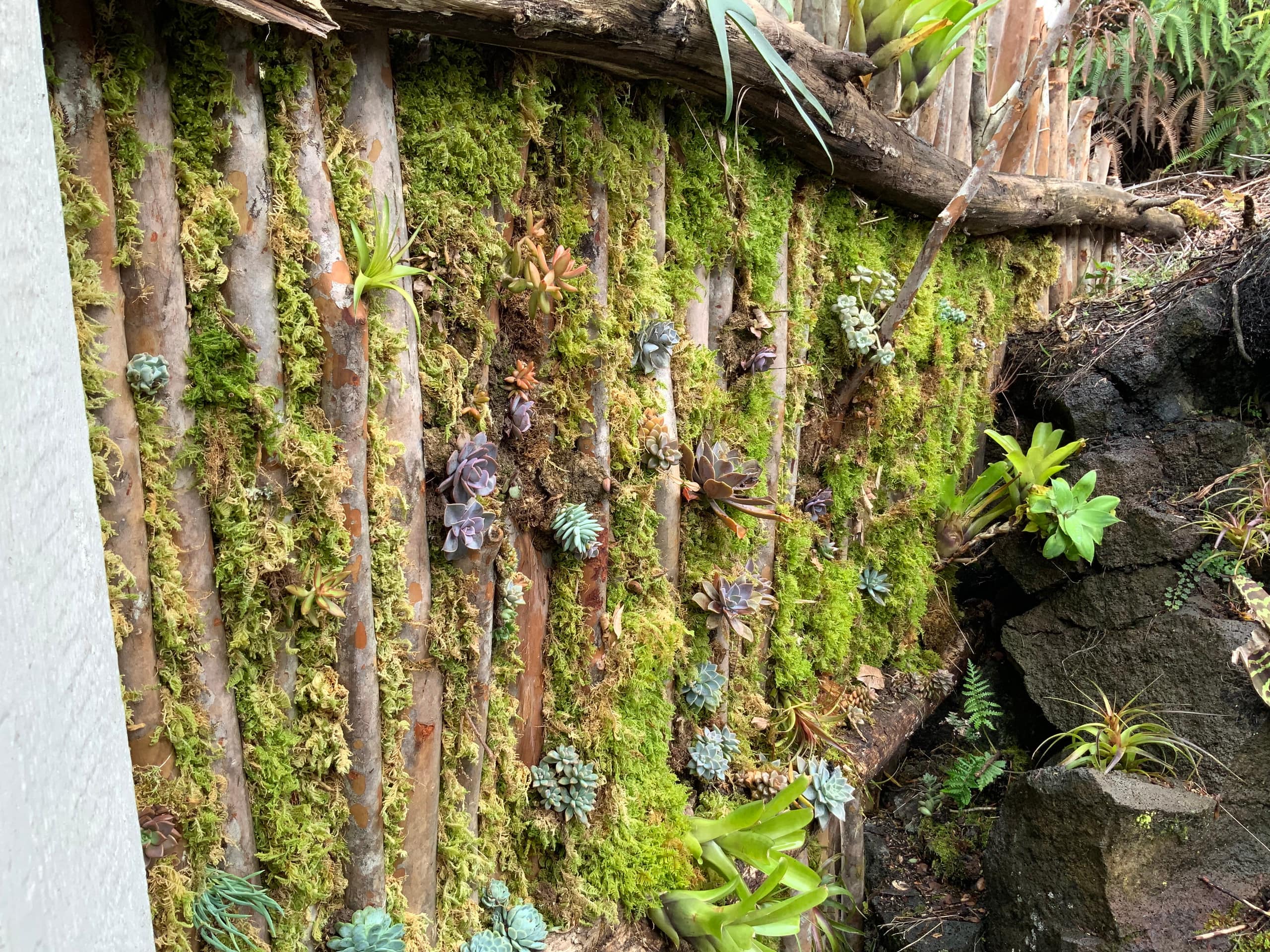 Exotic Garden cottage at amazing volcano fissure - Photo 21