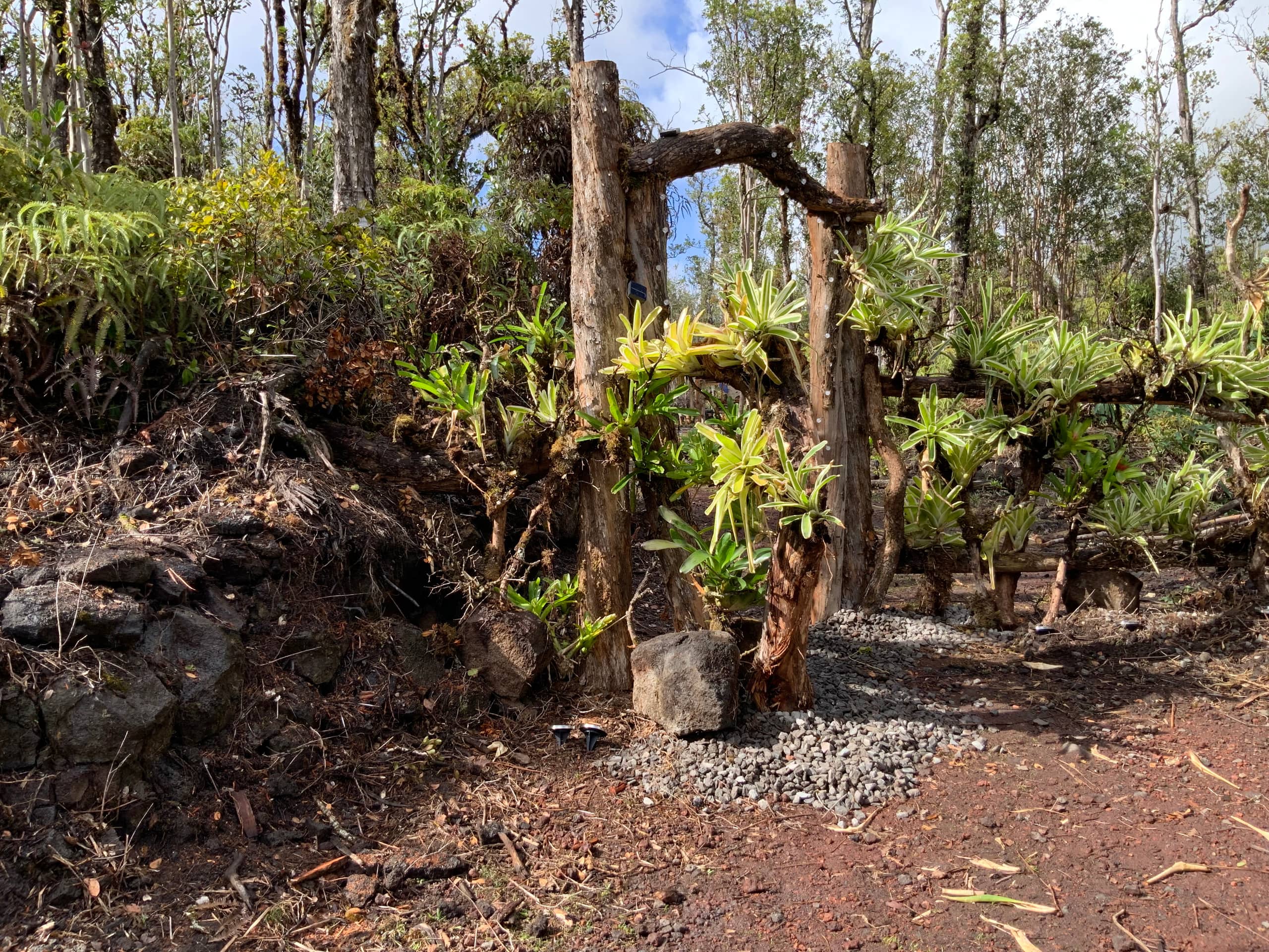 Exotic Garden cottage at amazing volcano fissure - Photo 46