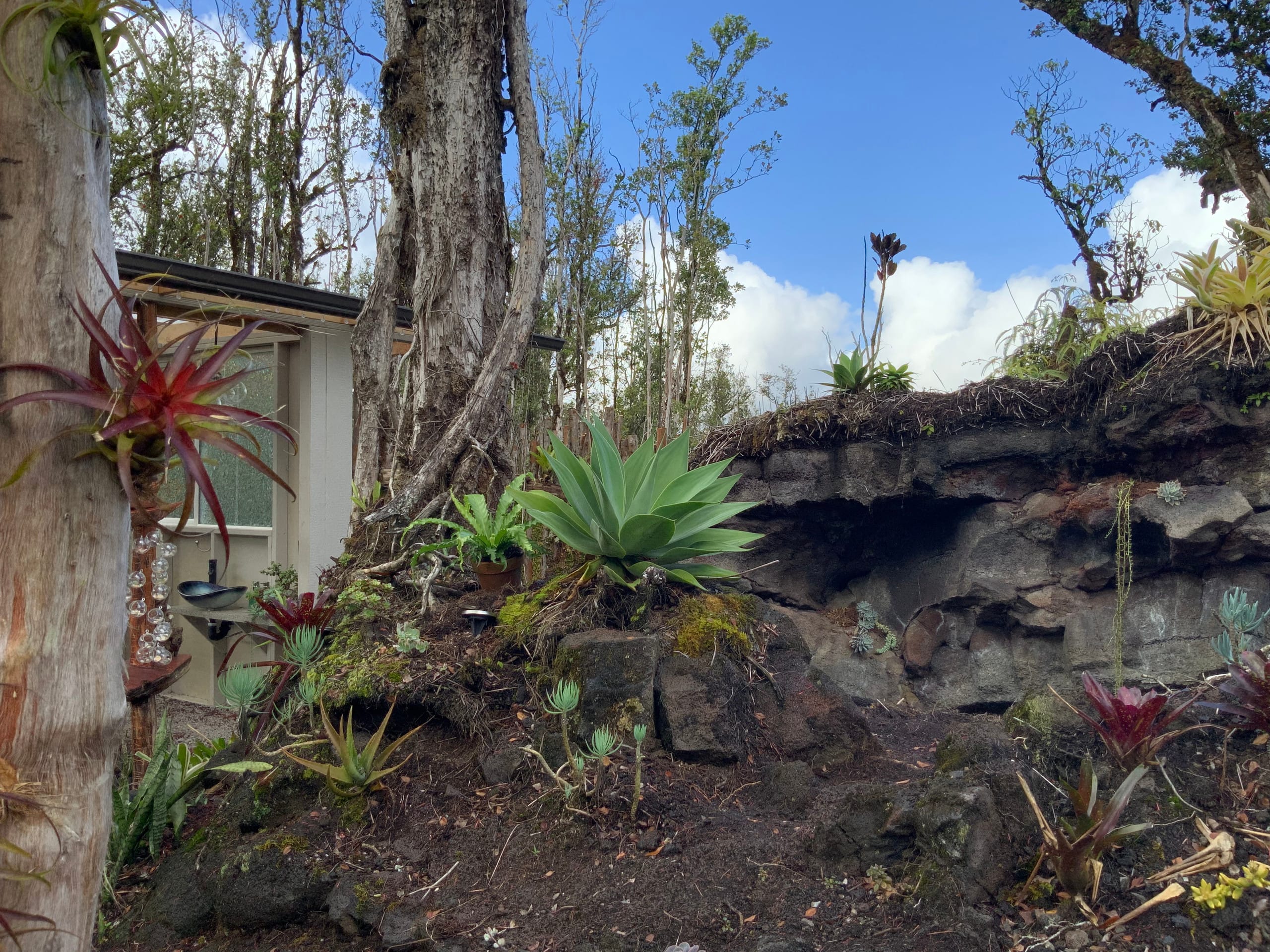 Exotic Garden cottage at amazing volcano fissure - Photo 11