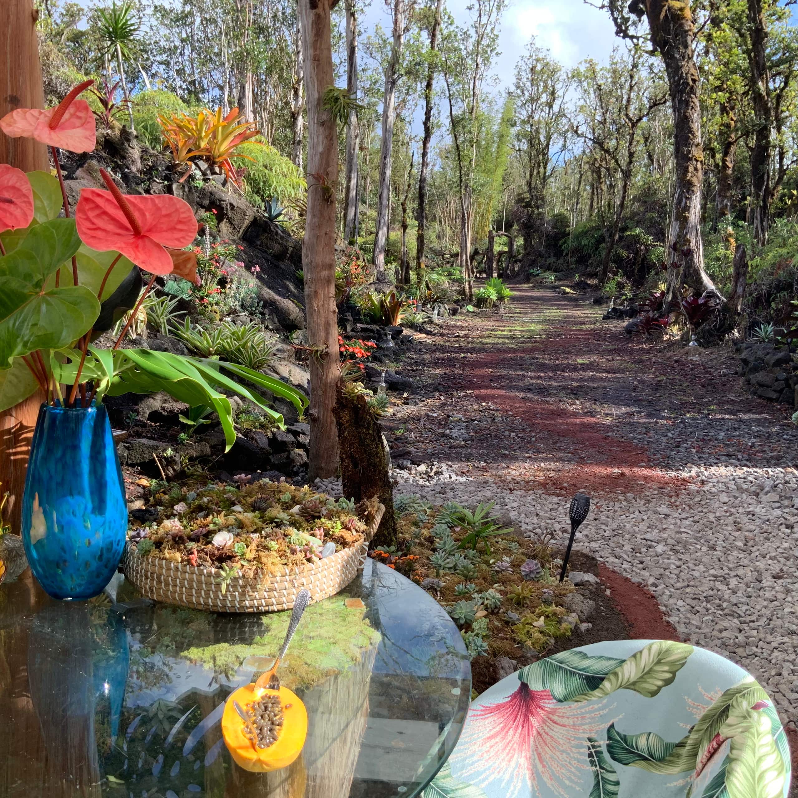 Exotic Garden cottage at amazing volcano fissure - Photo 12