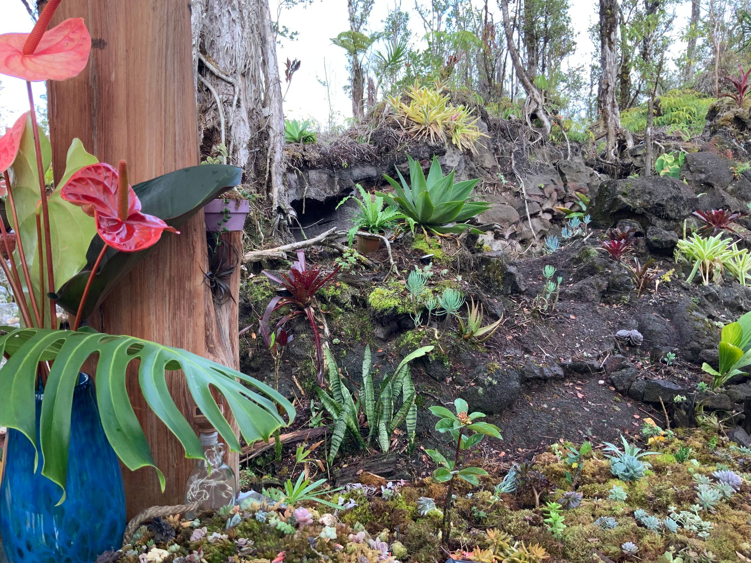 Exotic Garden cottage at amazing volcano fissure - Photo 10