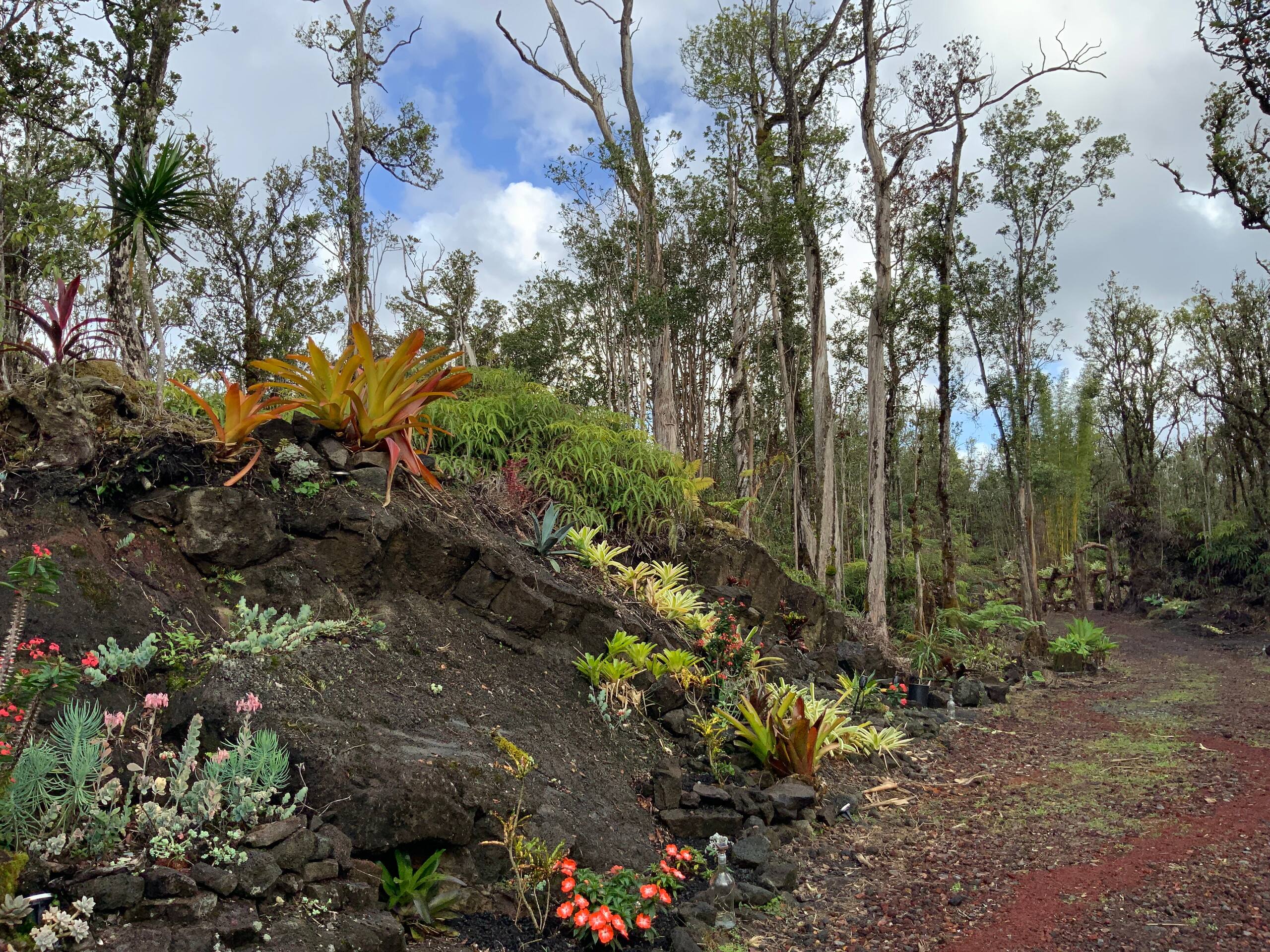 Exotic Garden cottage at amazing volcano fissure - Photo 8