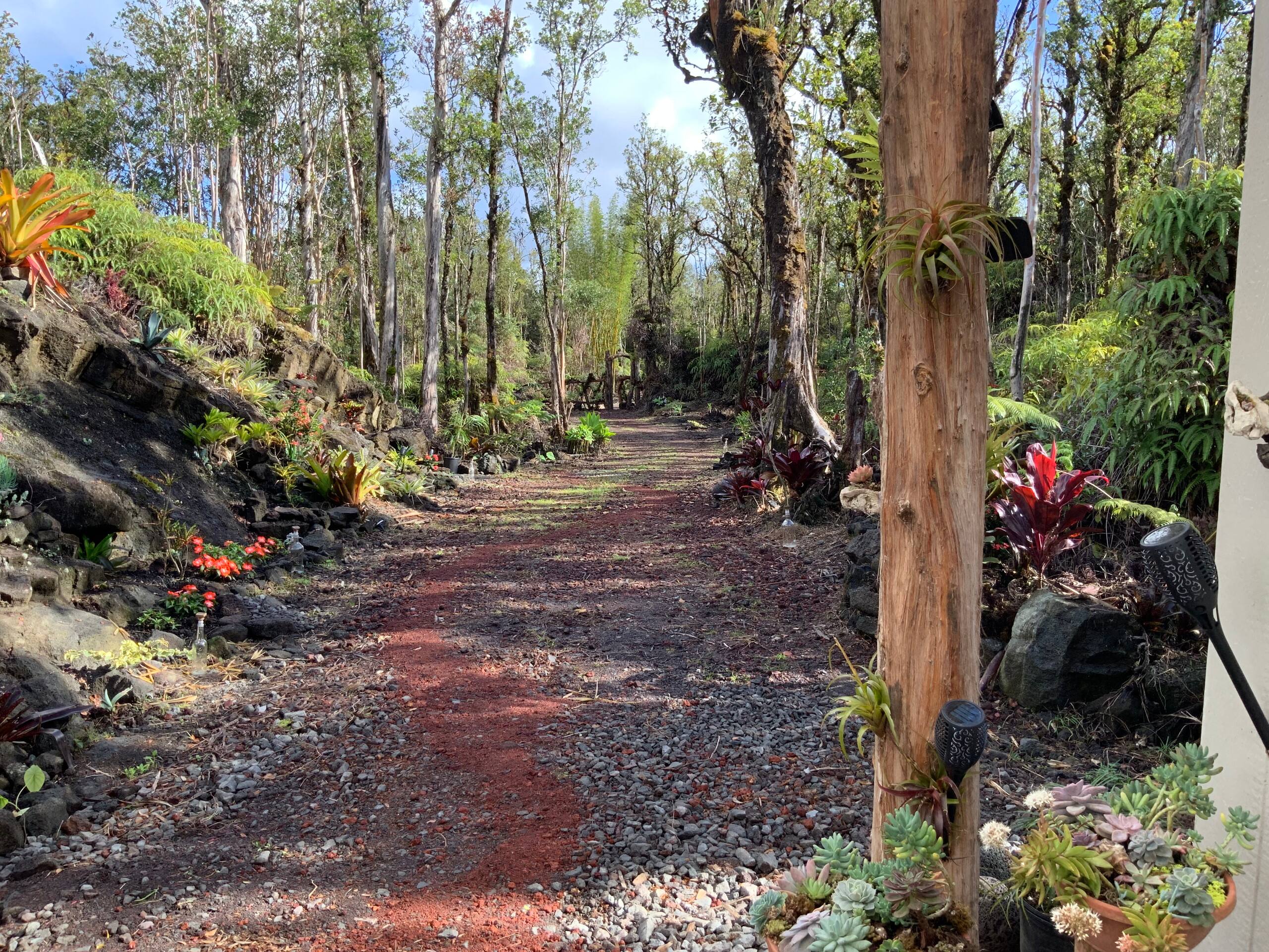 Exotic Garden cottage at amazing volcano fissure - Photo 16