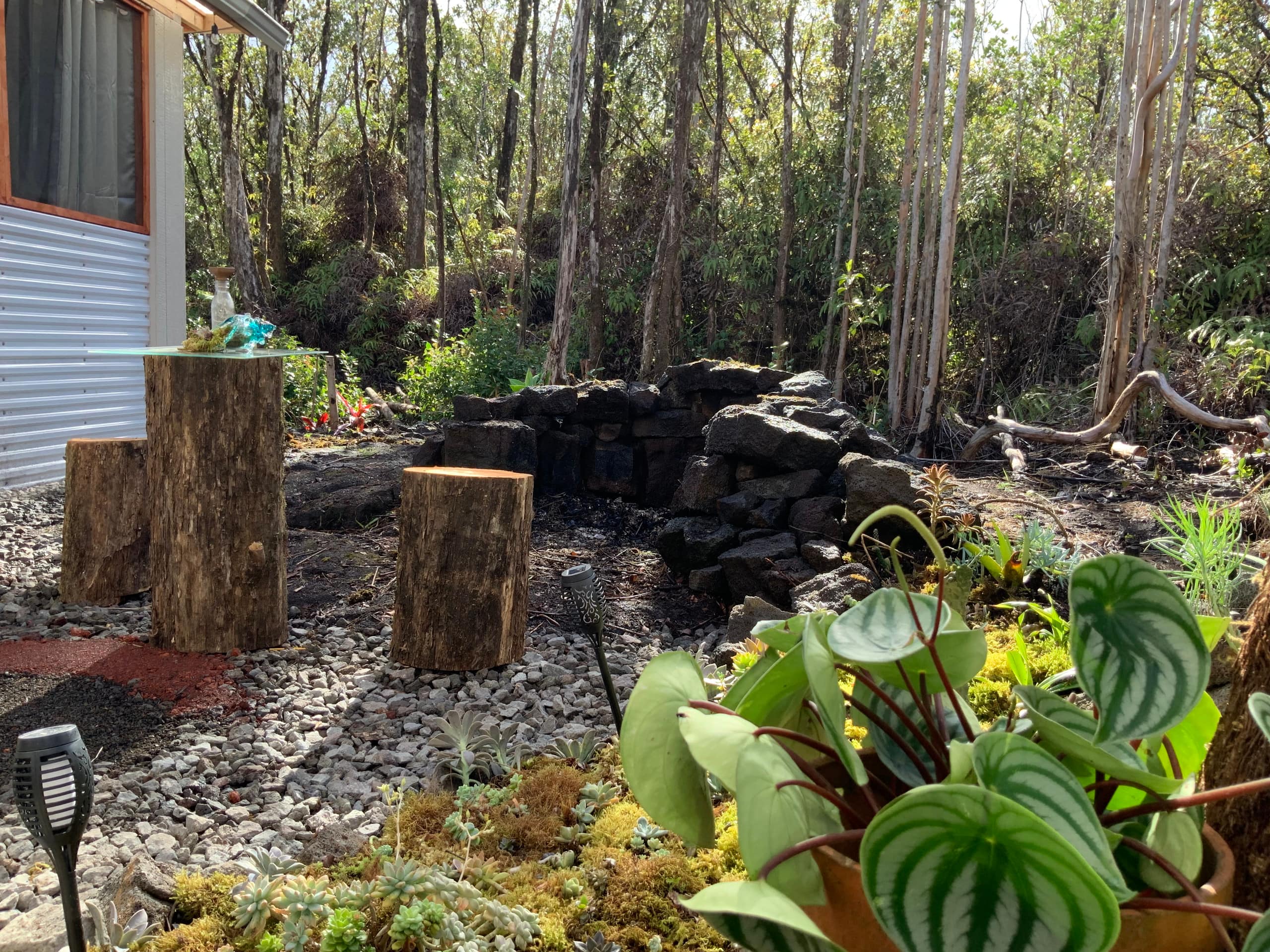Exotic Garden cottage at amazing volcano fissure - Photo 9