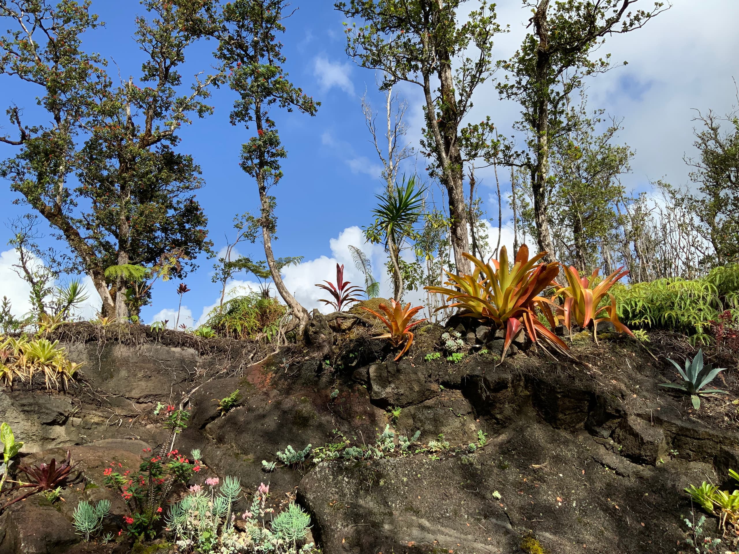 Exotic Garden cottage at amazing volcano fissure - Photo 14