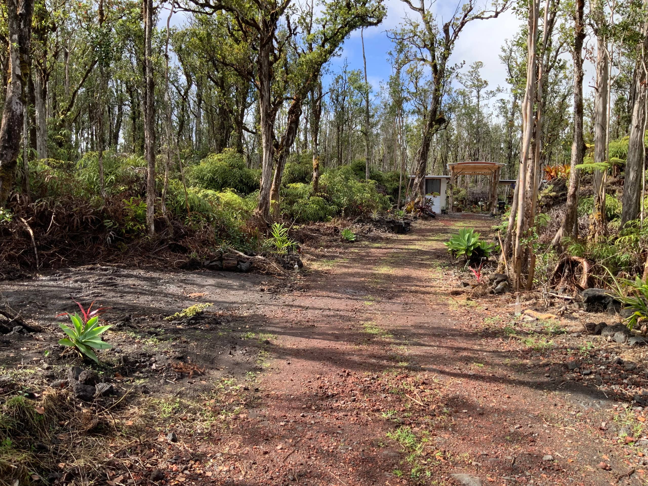 Exotic Garden cottage at amazing volcano fissure - Photo 47