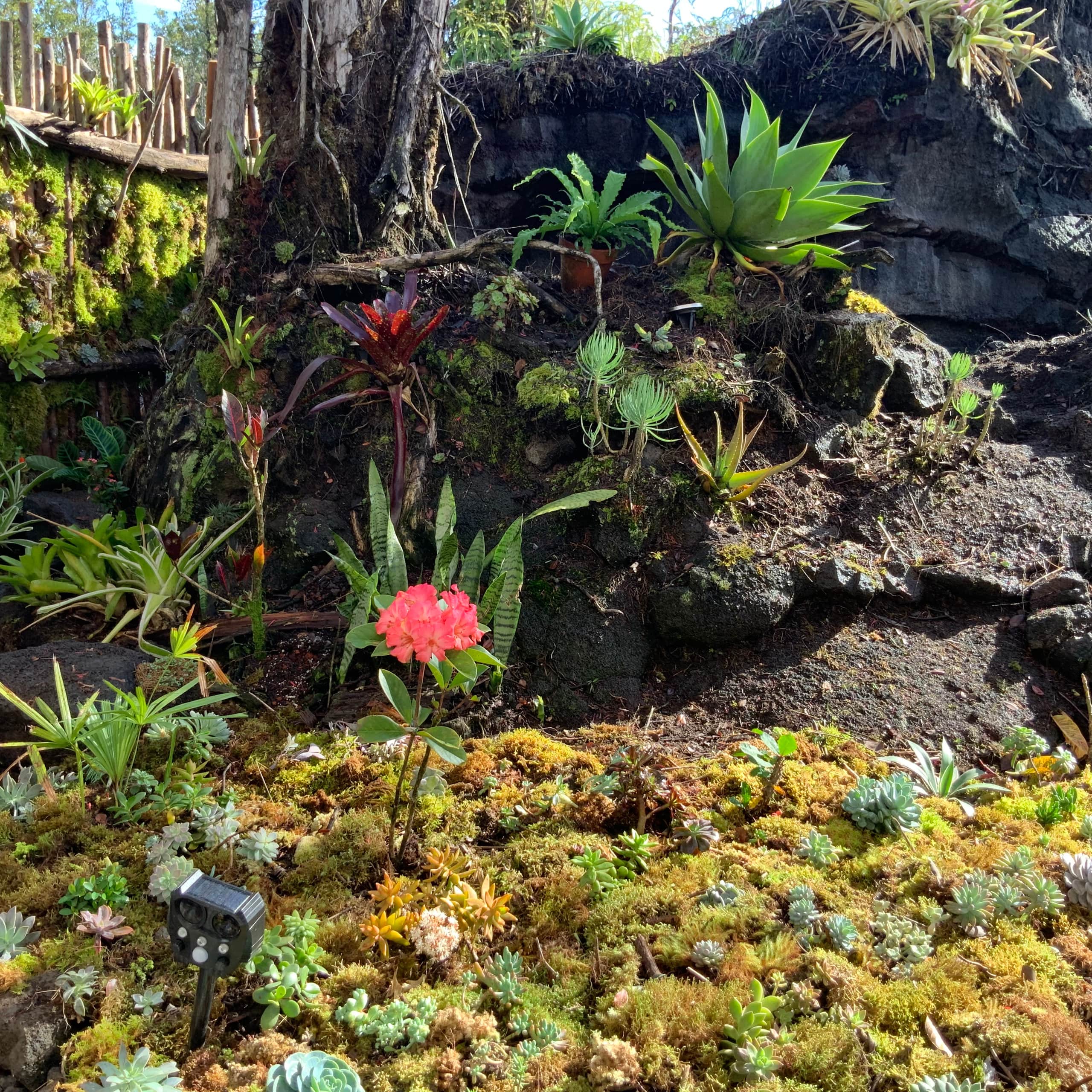 Exotic Garden cottage at amazing volcano fissure - Photo 37
