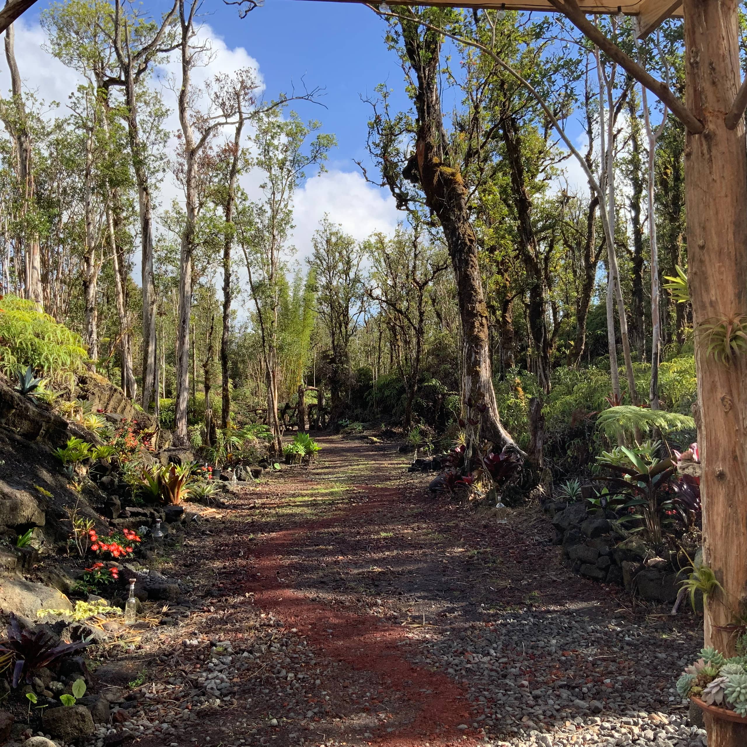 Exotic Garden cottage at amazing volcano fissure - Photo 13
