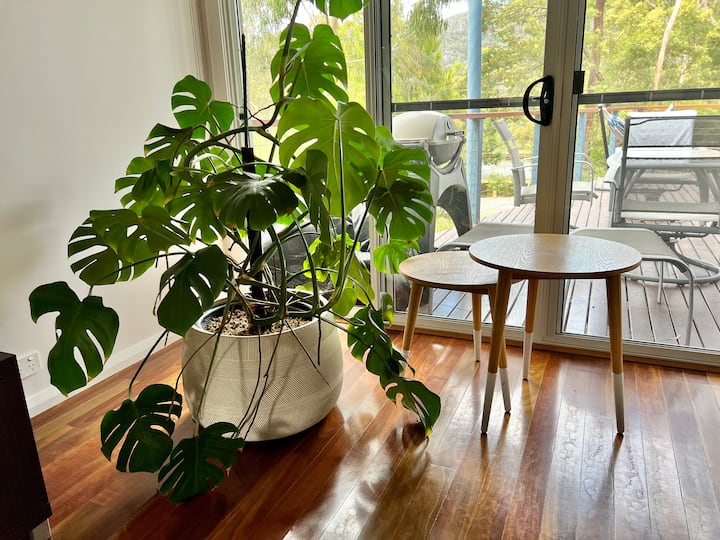 Blue Ridge Retreat. Boutique Grampians Escape. - Halls Gap