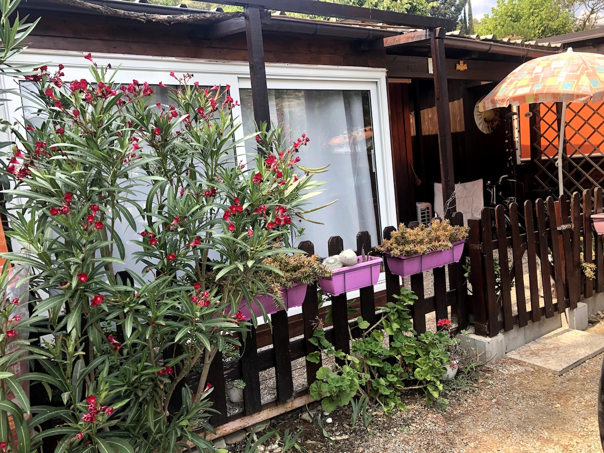 A charming bungalow is presented with vibrant flowering plants in purple pots, enriching the outdoor area. A wooden fence borders the space, and a spacious patio features a sun umbrella. A large window reflects natural light, enhancing the inviting entryway.