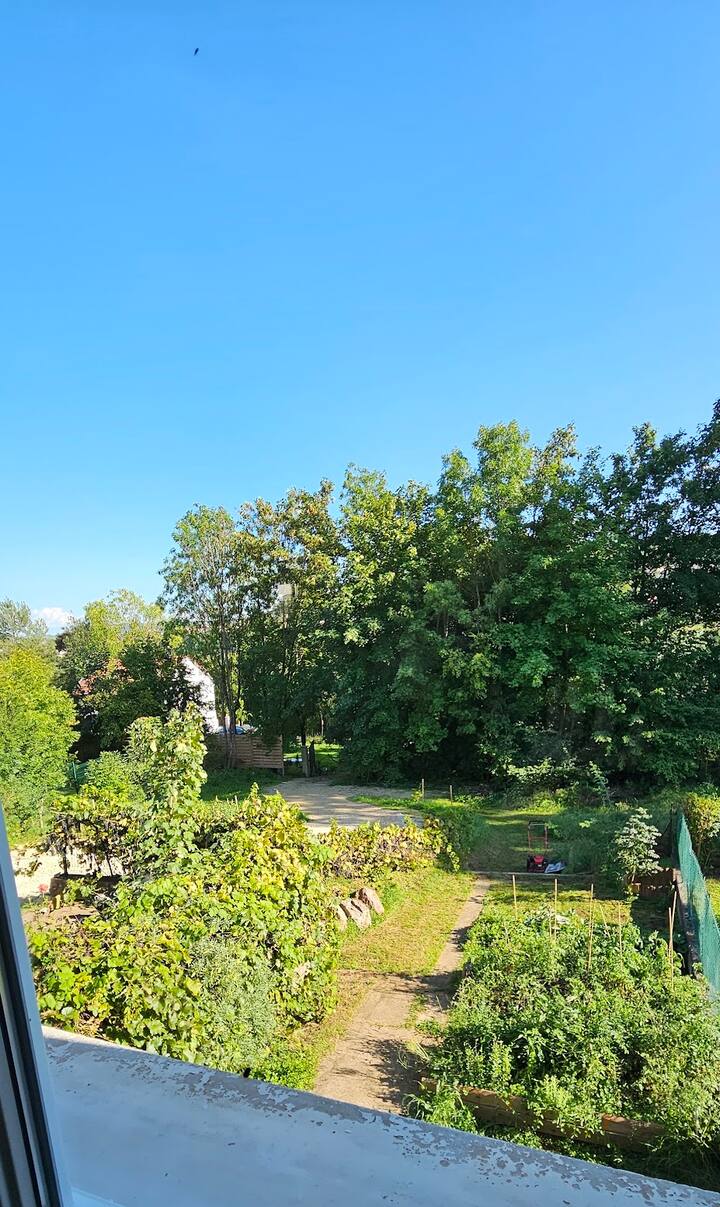 Aire de jeux extérieure avec toboggan et balançoire